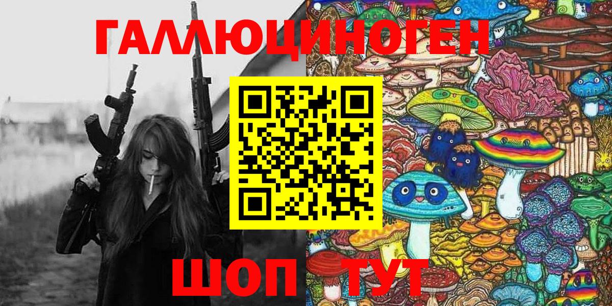Псилоцибиновые грибы Psilocybe Пугачёв